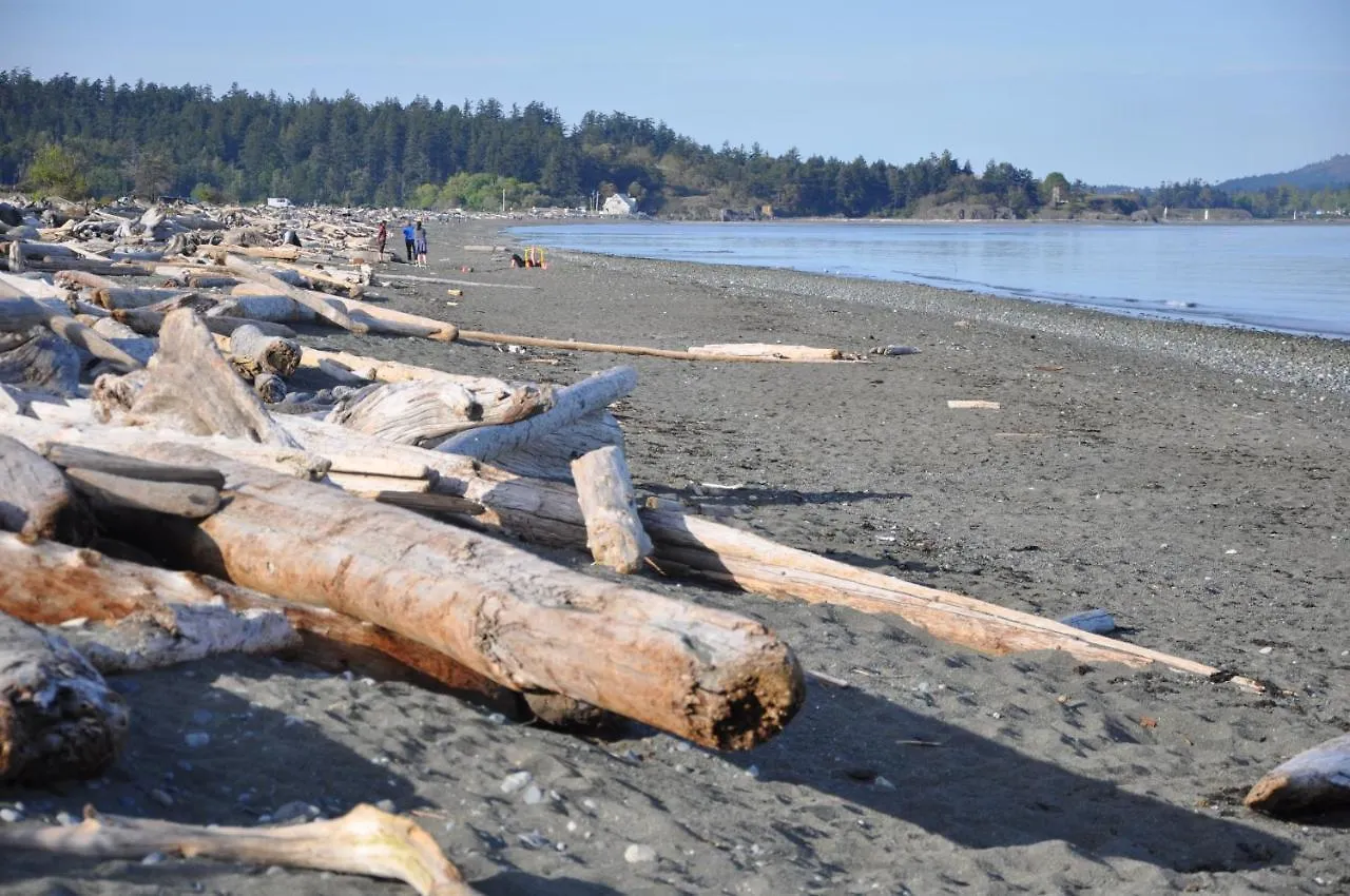 Birds Of A Feather Victoria Oceanfront Studio Suites Colwood Bed & Breakfast